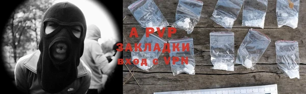 прущие грибы Аша