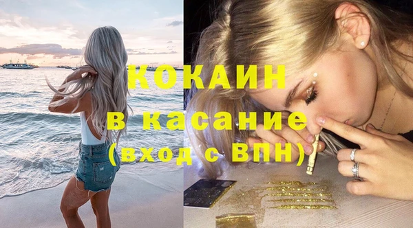 прущие грибы Аша