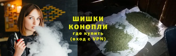 прущие грибы Аша